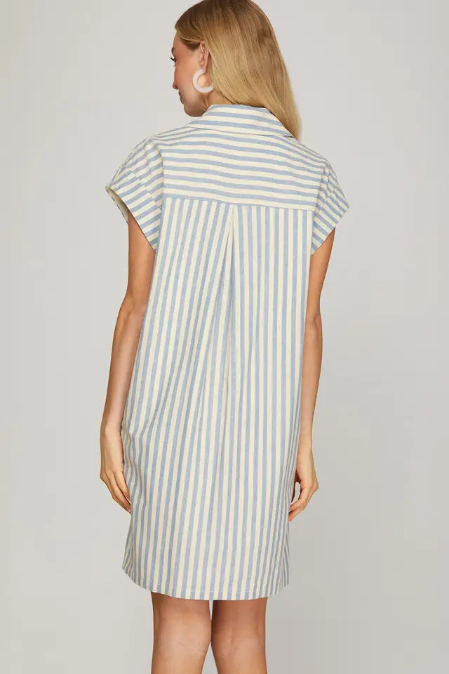 Paula Dress ST1090