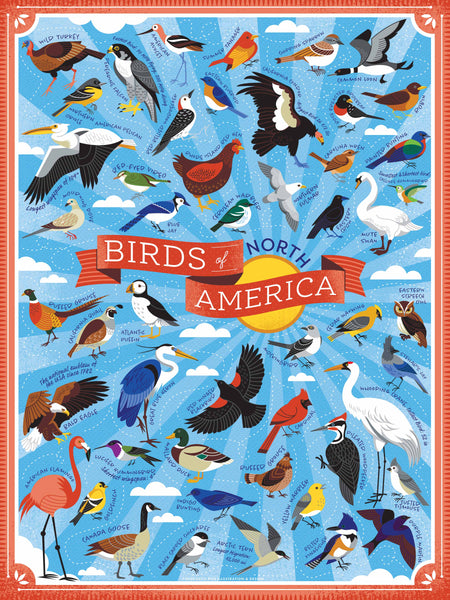 Birds of North America Jigsaw Puzzle